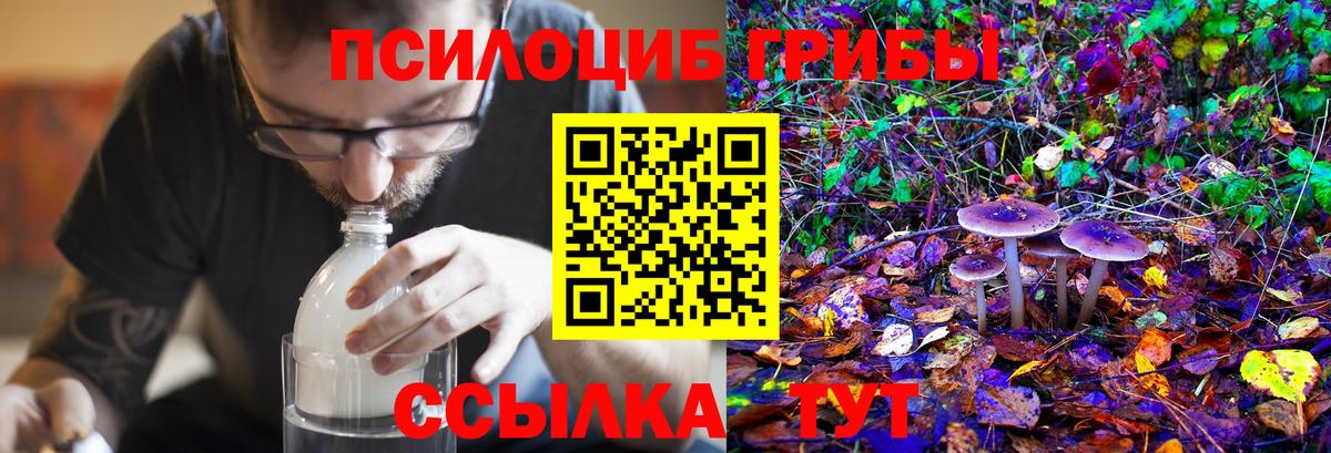 Галлюциногенные грибы Psilocybine cubensis  Вход с VPN  Кизляр 